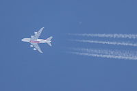 A6-EUD